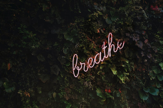 The Power of Breathing Exercises for Stress Relief